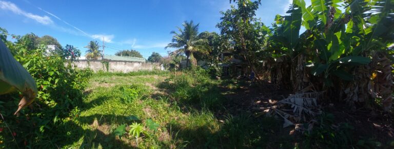 Imagem do WhatsApp de 2025-10-10 à(s) 19.37.24_c8589ae8