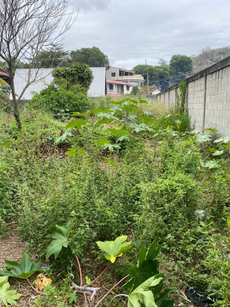 Imagem do WhatsApp de 2025-10-10 à(s) 19.39.29_cda0acd3