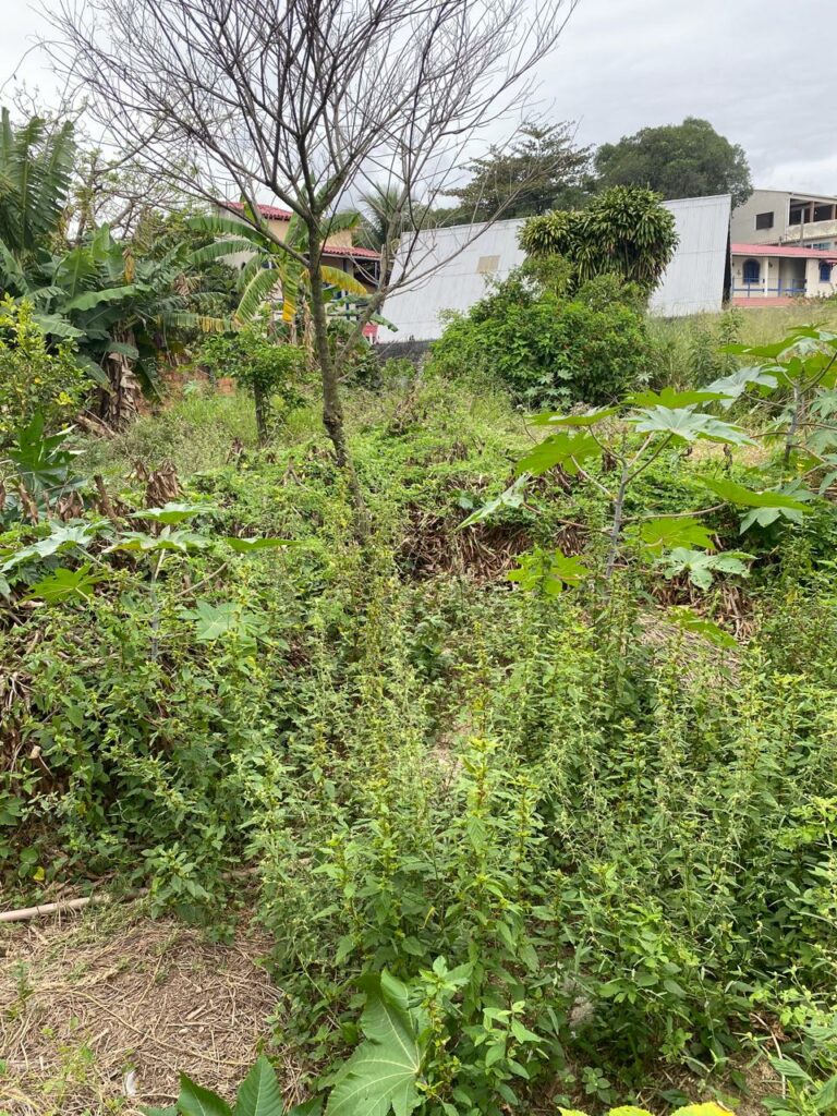 Imagem do WhatsApp de 2025-10-10 à(s) 19.39.30_93c06a22