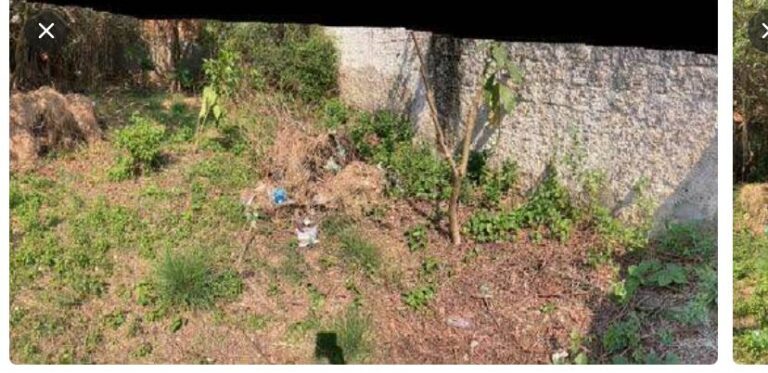 Imagem do WhatsApp de 2025-10-10 à(s) 19.49.47_c1424e5a