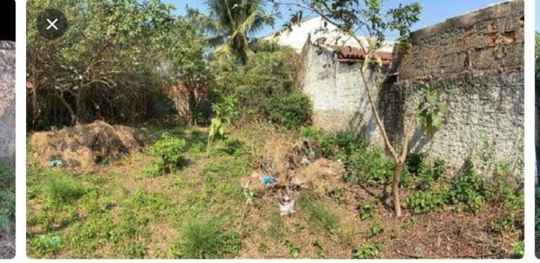 Imagem do WhatsApp de 2025-10-10 à(s) 19.50.08_fb1ffd39