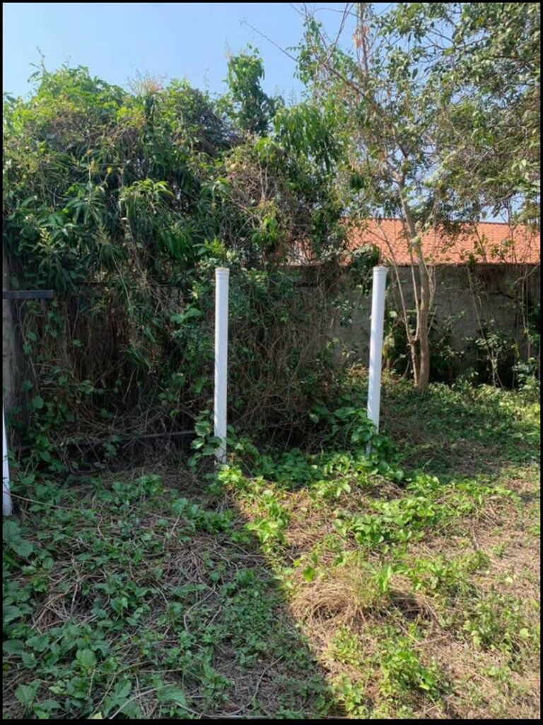 Imagem do WhatsApp de 2025-10-10 à(s) 19.50.36_6536e2f9