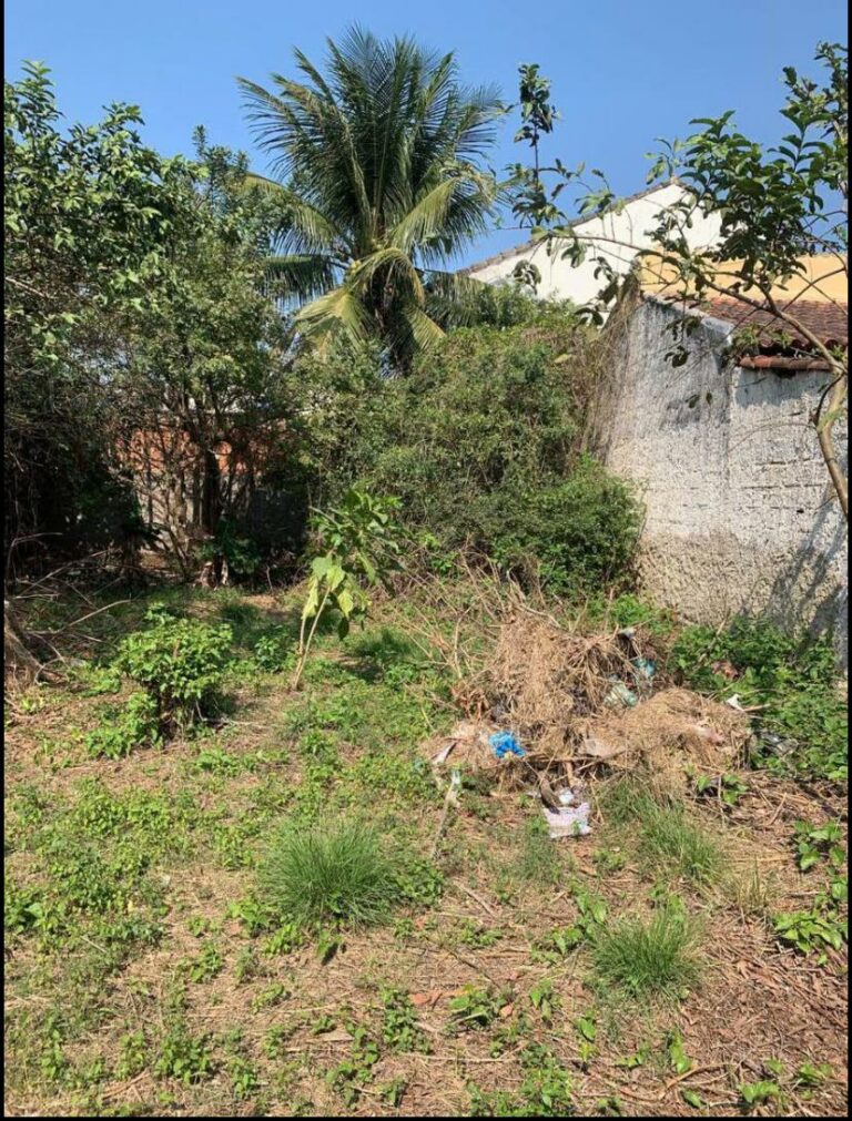 Imagem do WhatsApp de 2025-10-10 à(s) 19.50.54_cb54e72a