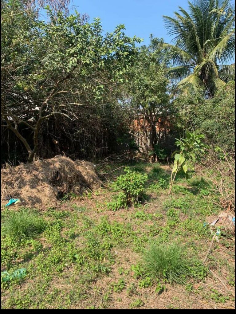 Imagem do WhatsApp de 2025-10-10 à(s) 19.51.09_56643f5f