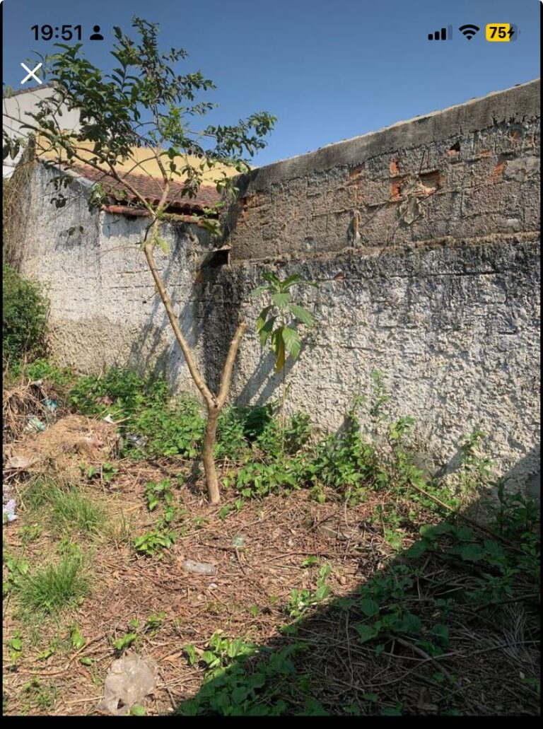 Imagem do WhatsApp de 2025-10-10 à(s) 19.51.28_3e6b3be5