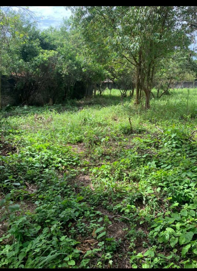 Imagem do WhatsApp de 2025-10-16 à(s) 19.25.54_21b29691