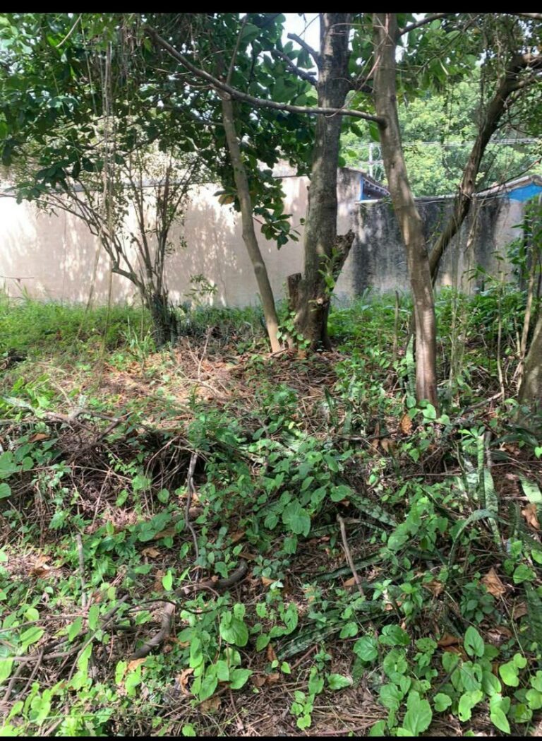 Imagem do WhatsApp de 2025-10-16 à(s) 19.25.54_829cc29a