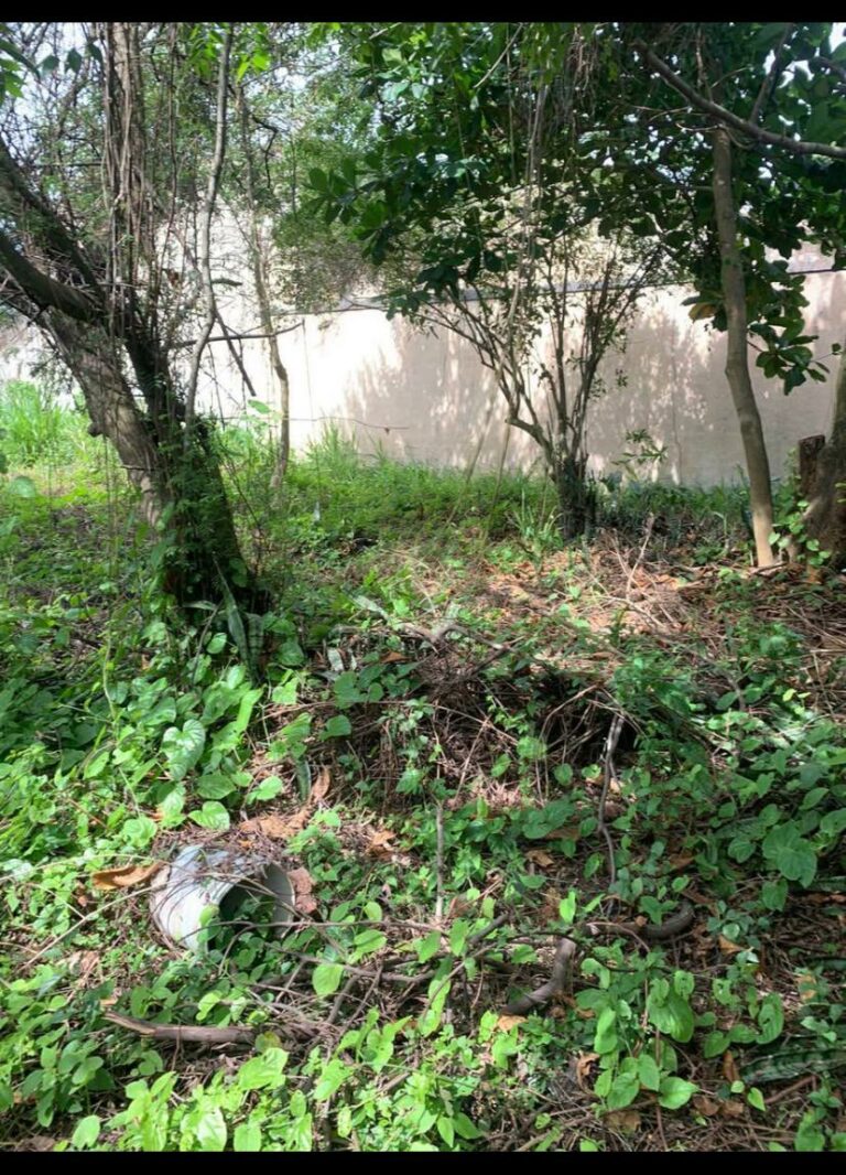 Imagem do WhatsApp de 2025-10-16 à(s) 19.25.54_acc3a30f