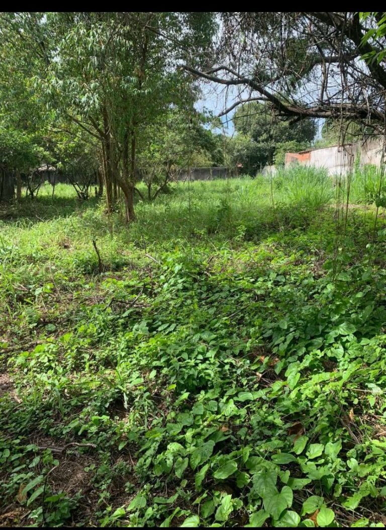 Imagem do WhatsApp de 2025-10-16 à(s) 19.25.54_b96a6ce9