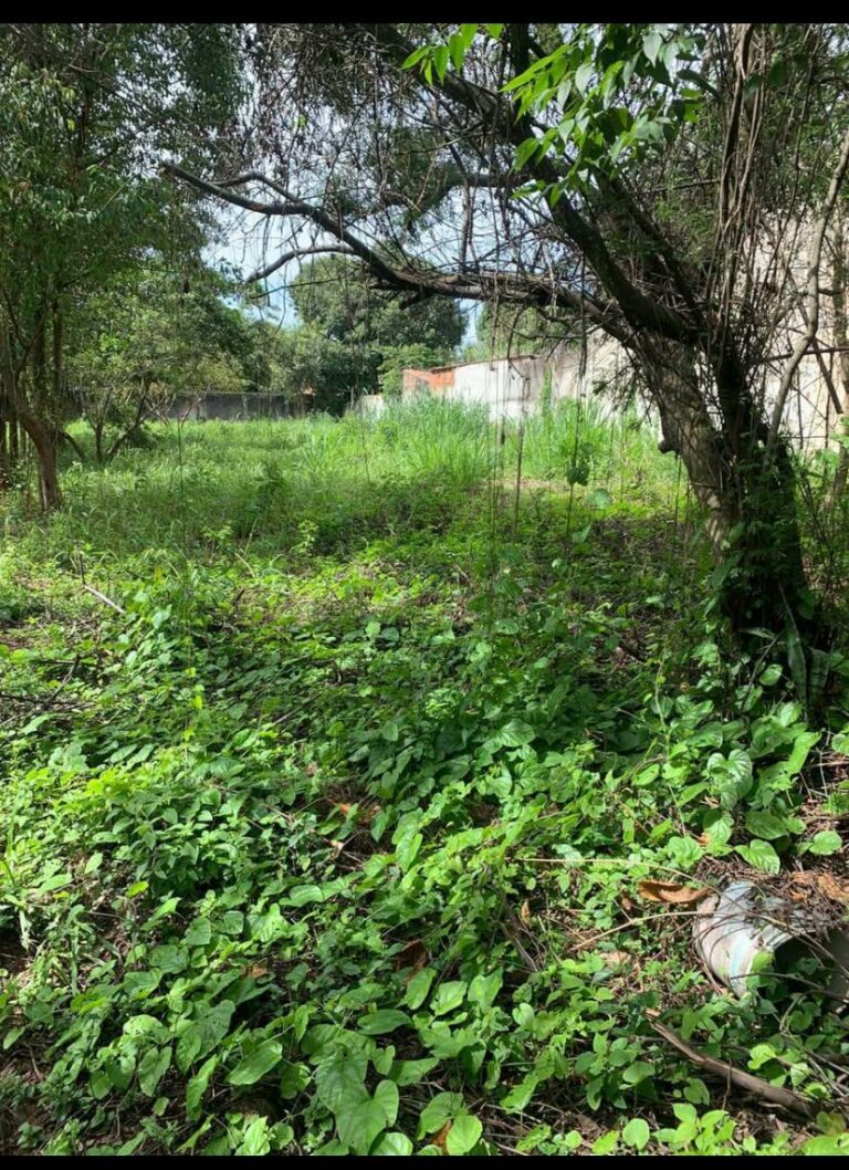 Imagem do WhatsApp de 2025-10-16 à(s) 19.25.54_c7388a9d