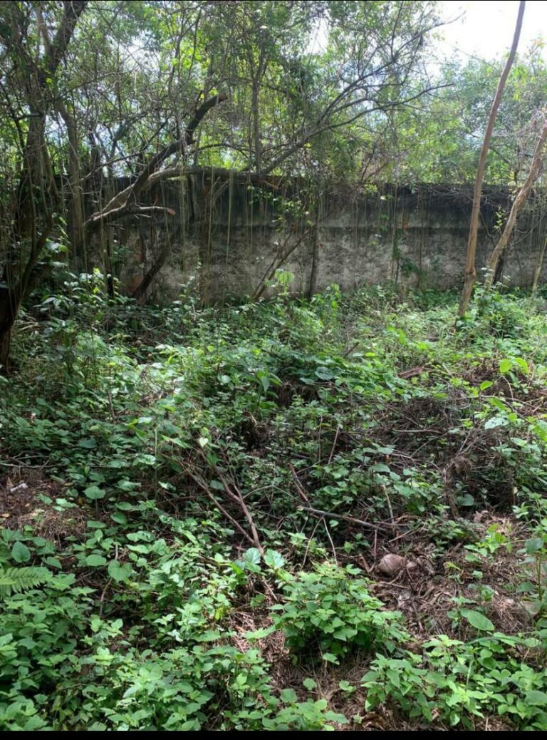 Imagem do WhatsApp de 2025-10-16 à(s) 19.25.54_d76f36ff