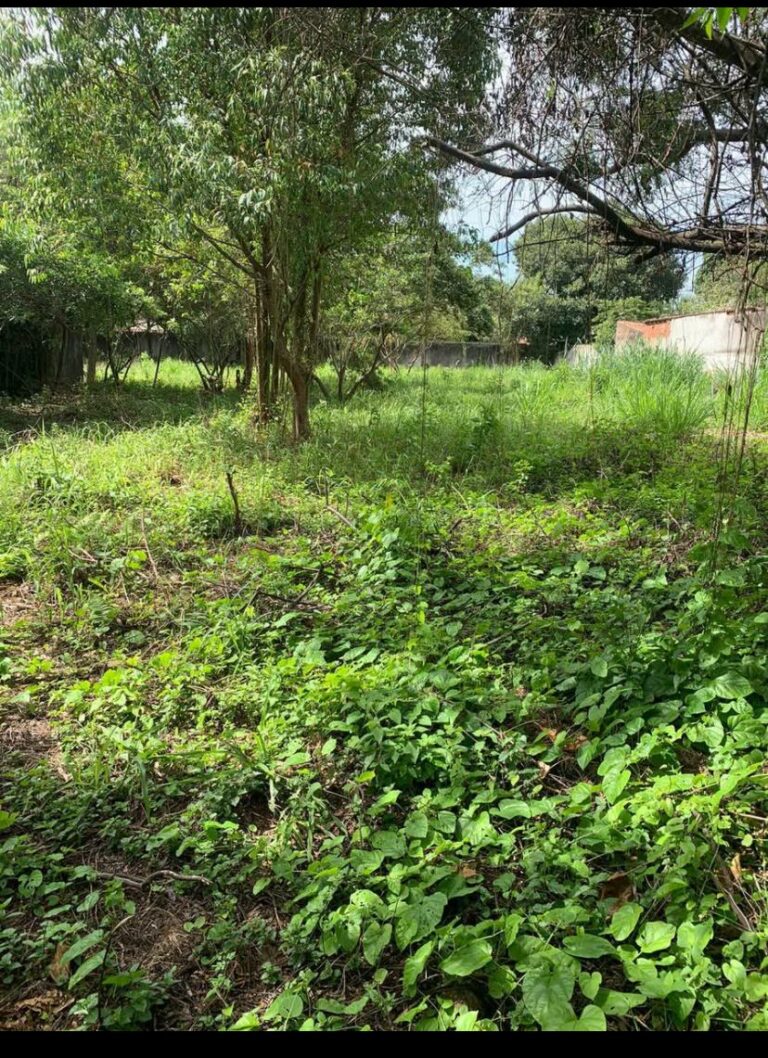 Imagem do WhatsApp de 2025-10-16 à(s) 19.25.54_f1fc96e9