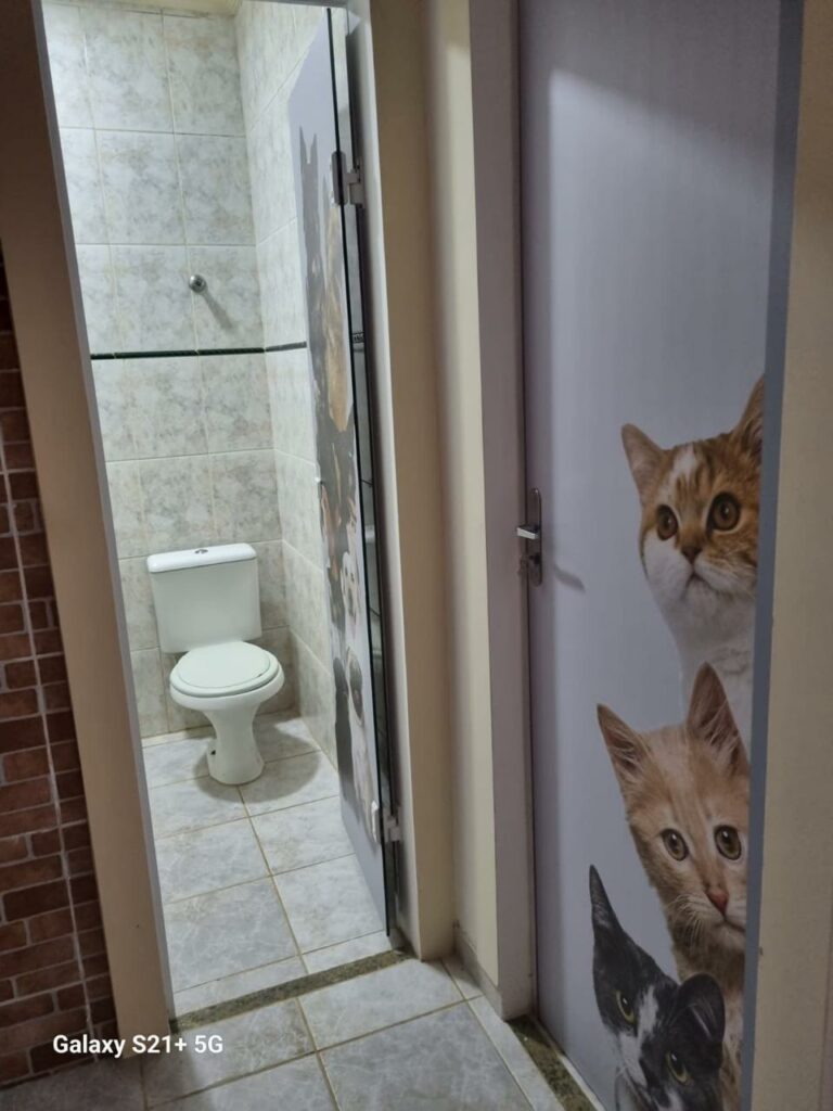 Imagem do WhatsApp de 2025-11-12 à(s) 19.06.14_cdbdeb26