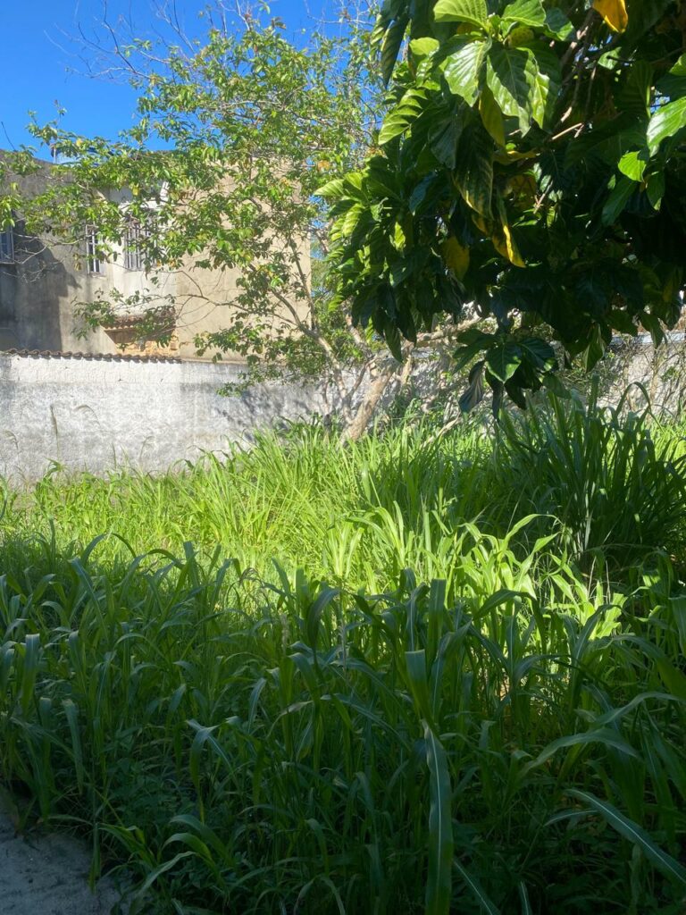 Imagem do WhatsApp de 2025-11-22 à(s) 11.20.29_2303e09f