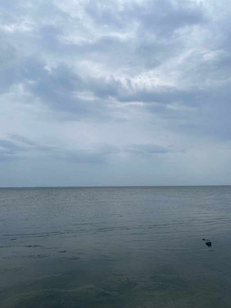 Imagem do WhatsApp de 2025-12-04 à(s) 15.36.57_1475c586